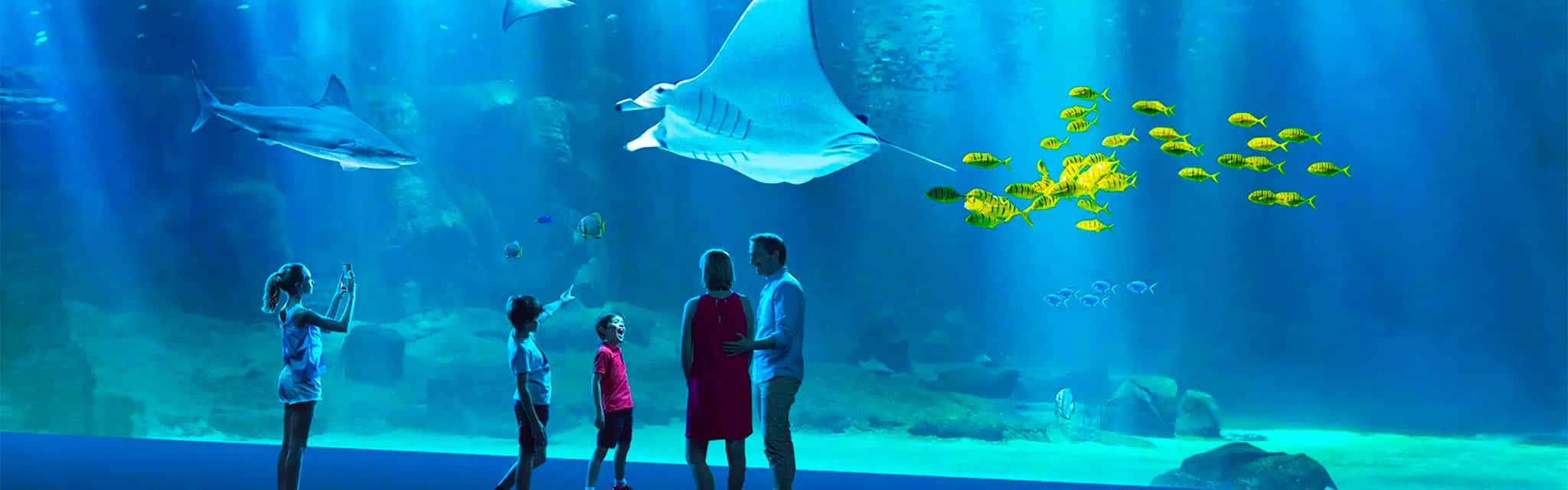Boulogne-sur-Mer including Nausicaá Aquarium Ticket