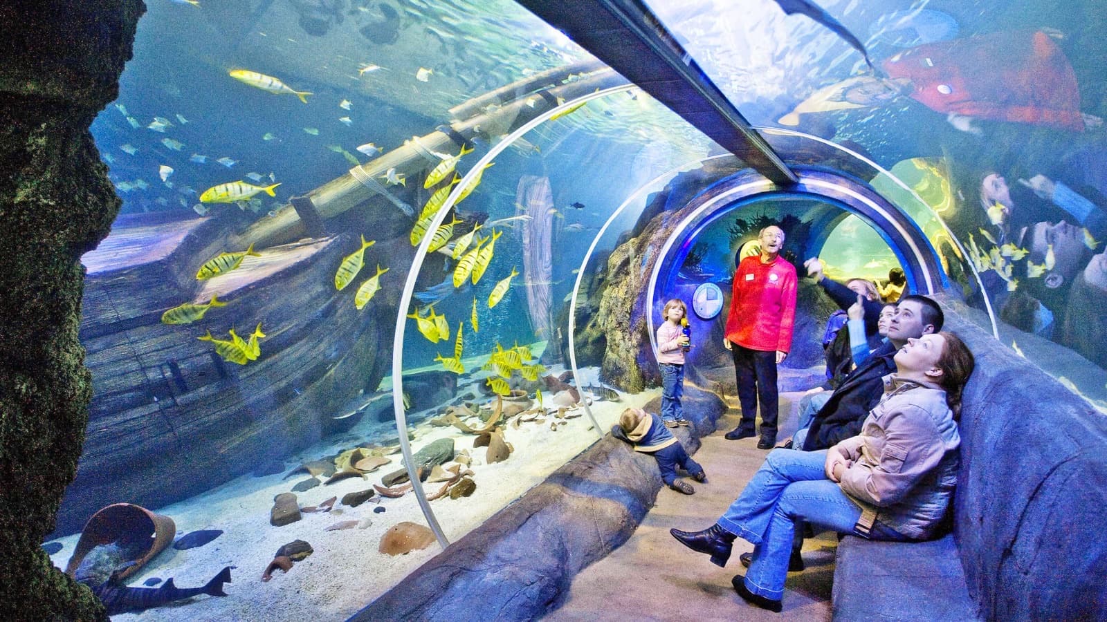 Rondreis Ruhr & Rijn: Oberhausen en Keulen, met SEA LIFE, LEGOLAND Discovery en Aqualand foto 2