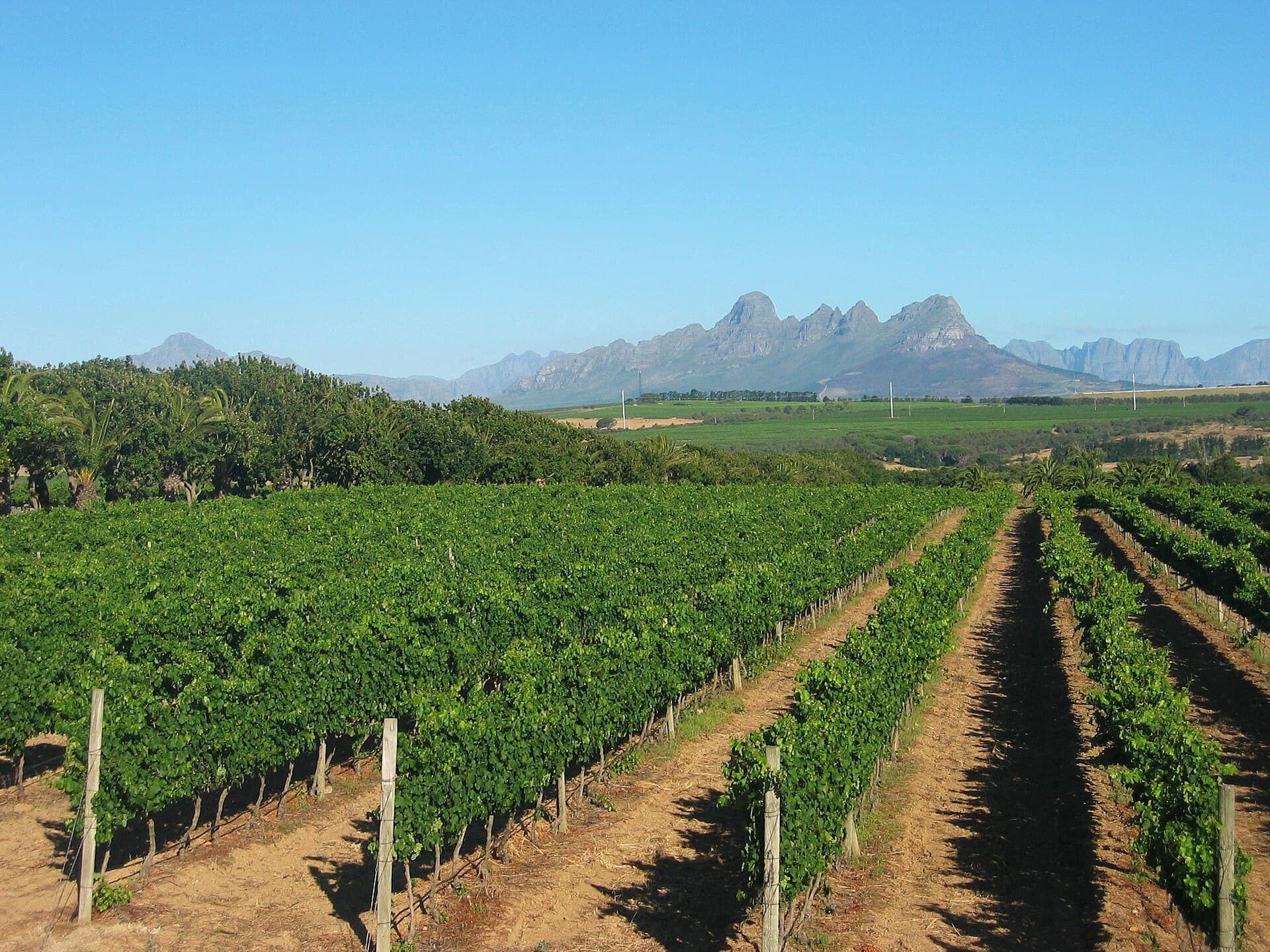 Stellenbosch