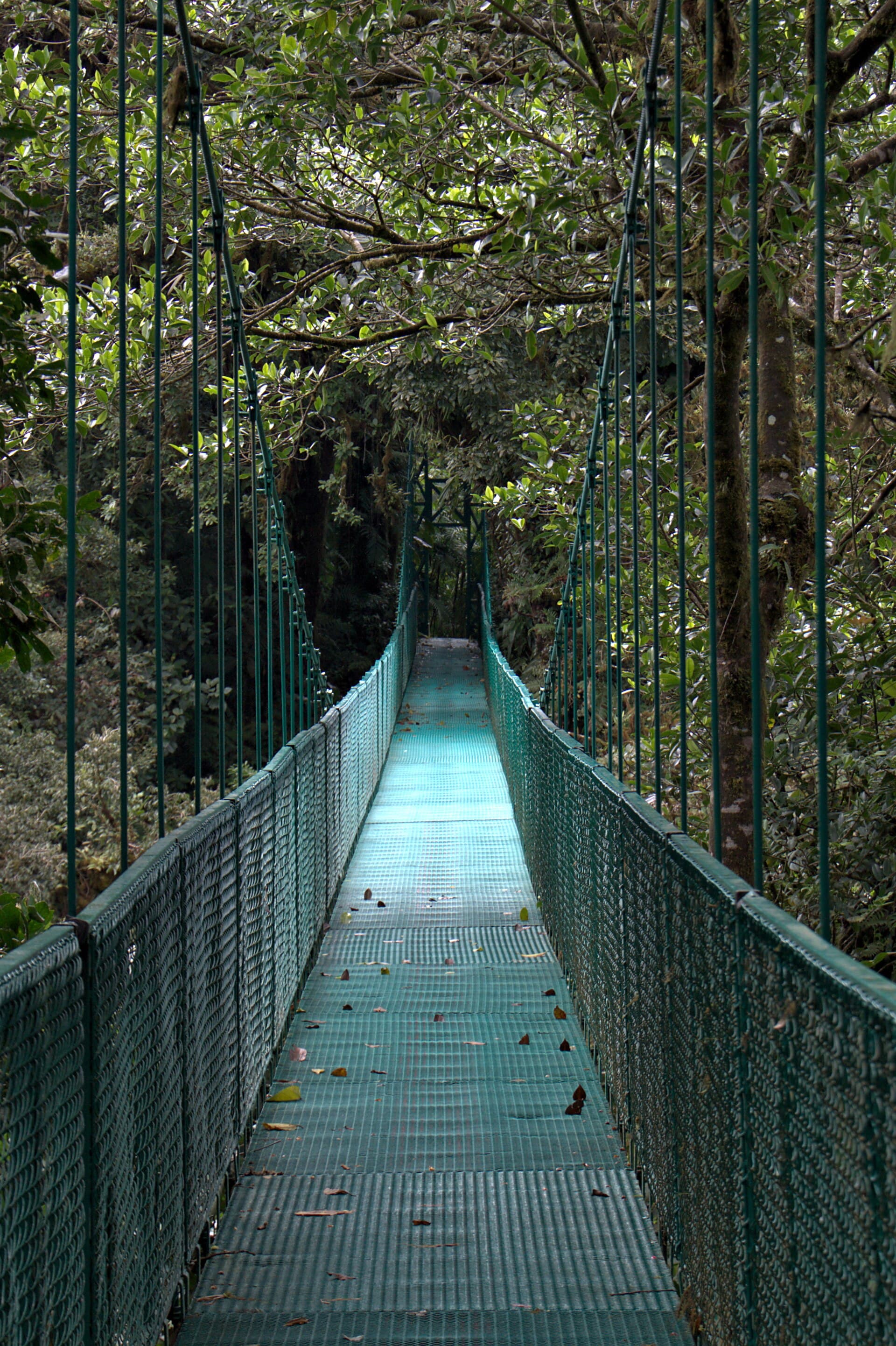 Monteverde