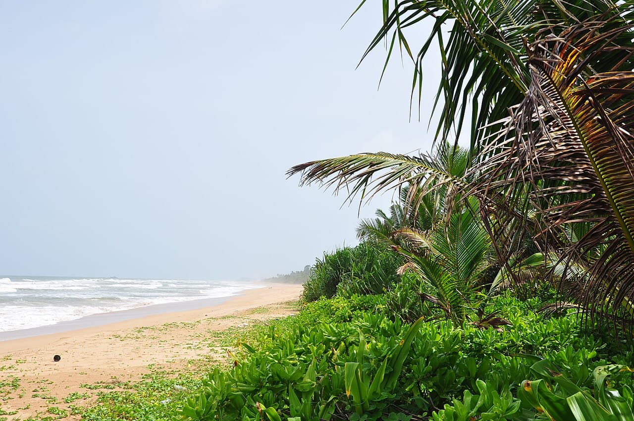 Habarana en Dambulla
