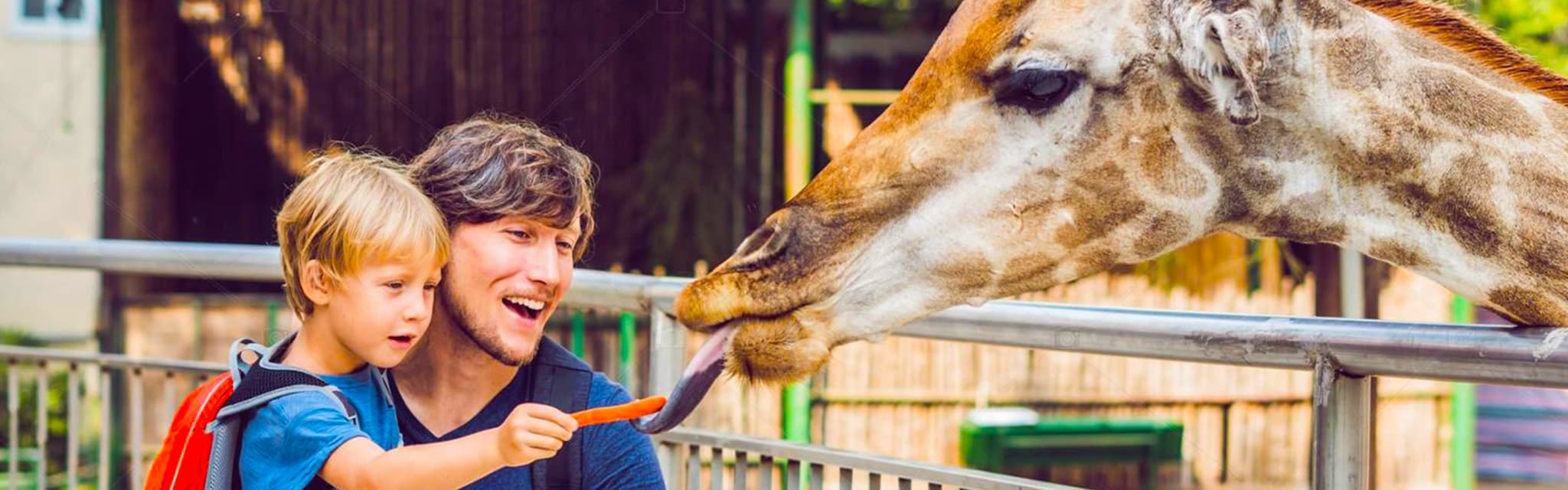 Stedentrip Leipzig met Zoo Toegangsticket